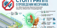 О проведении месячника по обеспечению биологической защиты объектов птицеводства «СТОП ГРИПП». - Плавский район