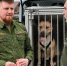 Во время осмотра места происшествия рядом с телом была обнаружена собака. - Новгородские Ведомости