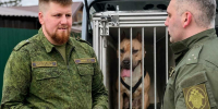 Во время осмотра места происшествия рядом с телом была обнаружена собака. - Новгородские Ведомости