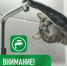 Внимание! Отключение водоснабжения!. - Великоустюгский муниципальный округ