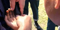 В Ульяновске спасатели помогли мальчику достать палец из детали велосипеда - Комсомольская правда