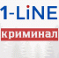 В Новосибирске спецназ задержал банду похитителей - 1-LINE
