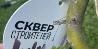 Институт архитектуры и строительства принял участие в создании «Сквера строителей» - МГУ им. Н.П. Огарева