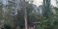Депутат Евгений Дунаев принял новую жалобу от жителей Юго-Востока-2 - ЛДПР