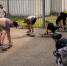 В скейт-парке «Гелиос» продолжаются занятия школы скейтбординга. - Город Курск
