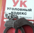 Тольяттинка-курьер мошенников предстанет перед судом - НИА Самара