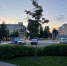 В Кирове внедряют фигурную обрезку кустарников - Kirov.Online