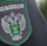 В Кузбассе специалисты Россельхознадзора отмечают важность превентивных мероприятий в сфере обеспечения качества и безопасности зерна - ИА Новости Кузбасса