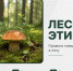 Лесной этикет: важно соблюдать правила во время грибного сезона - Минэкологии РС(Я)