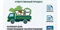 Напоминаем о правилах перевозки животных и профилактике опасных болезней - Департамент по социально-экономическому развитию села
