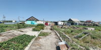 JPG Файл - УМВД Омской области