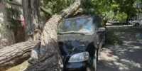 В Азовском районе ввели режим ЧС регионального характера из-за урагана - Azov.DonDay.Ru