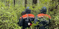 Потерявшаяся в лесу забайкалка продемонстрировала навыки выживания - ИА Байкал-Daily