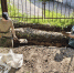 Прикоснуться к истории руками - Курская правда