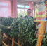 eGLVO_EYIOFR6t3KaLsBhudgi53tOcHTuBqQocNhWg2Dzbog2gGC27E97agFXbKl5ld02GmpKb00275WzbuVvwJ7.jpg - Ozersk74.Ru
