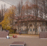 Пущино получит новый скейт-парк, участок под него найдут за две недели - Smitanka.Ru
