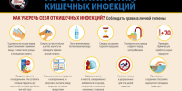 Роспотребнадзор напоминает основные правила профилактики заражения острыми кишечными инфекциями - Город-герой Новороcсийск
