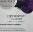 В каникулы есть время не только отдыхать, но и приобретать новые знания *** Саратовская область, город Маркс - август 2026 год (marksadm.ru) - Марксовский район
