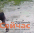 Нижегородские подростки украли крест с кладбища - ИА Нижний сейчас
