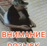 JPEG Файл - УМВД Тюменской области