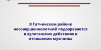 В Гатчинском районе несовершеннолетний подозревается в хулиганских действиях в отношении мужчины - Следственный комитет