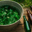 Стеклянные бутылки разбиваю на кусочки: мастерю из них красоту на участке на зависть соседям - 10 идей применения стекляшек - PRO Город Владимир