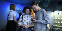 Фото: официальный сайт правительства Мурманской области - НИА Мурманск