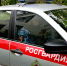 В Саранске сотрудники Росгвардии задержали мужчину, избившего супругу на улице - Вестник Мордовии