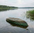 background - Вологда-поиск