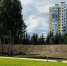 В Менделеев-парке появится сцена, качели и гамаки - TobGorod.Ru