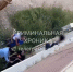 В Каспийске мать четырехлетнего ребенка привлечена к ответственности за неисполнение родительских обязанностей - РИА Дагестан