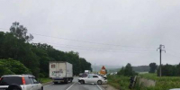 Грузовик и легковушка в кювете: Chaser "выбил страйк" на дороге в Приморье - ГТРК Владивосток