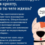 9.jpg - УМВД Смоленской области