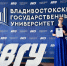 # - ВВГУ