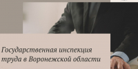 Опыт под защитой закона: как Трудовой кодекс меняет подход к найму стажеров - Промышленные вести
