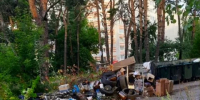 Крысиный рассадник образовался на бульваре Моторостроителей в Калуге - Калужский перекрёсток