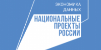 В электронном виде томичам доступно 100% массовых социально значимых услуг - NIATomsk.Ru