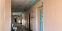 Врачи Вологодской области провели 35 тысяч онлайн-приемов - ProGorod35.Ru