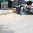В Подмосковье за неделю выписали более 30 штрафов за сброс мусора рядом с баками - РТВ-Подмосковье