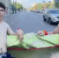 Воронежцы сделали бассейн из пикапа и попали под административку - ГТРК Воронеж