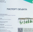 Благодаря реализации нацпроекта в Мглине обустраивают тренажерную площадку - Мглинские Вести