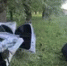 В Салавате арестован пьяный водитель, по вине которого погибли 2 подростков - Башинформ
