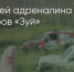 Поделитья во ВКонтакте - Братская Студия Телевидения