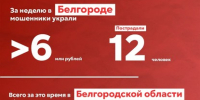 За неделю мошенники похитили у белгородцев свыше 20 млн рублей - Belnovosti.Ru