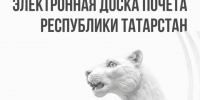 100 жителей Мензелинского района занесены на электронную Доску почета Татарстана - Мензеля