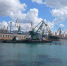 Хватит ли порту  Новороссийск мощностей для экспорта зерна? - Газета Новороссийский рабочий