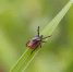 ChatGPT Image 6 авг. 2026 г., 14_48_12 - NeruLife.Ru