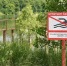 Сводка происшествий на воде за июнь-июль 2026 года - Городской округ Ступино