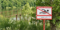 Сводка происшествий на воде за июнь-июль 2026 года - Городской округ Ступино
