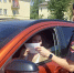 Жара не не стала препятствием для проведения профилактической акции «Внимание: пешеход!» - Инфокам